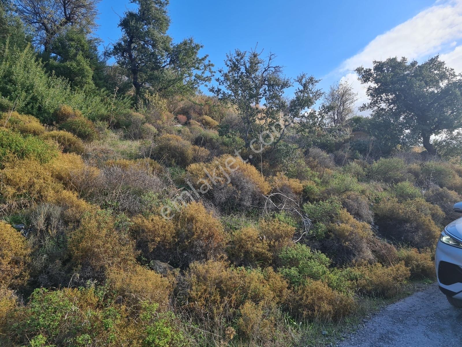 Select'ten Marmaris Söğüt'te İçinde Ev Olan 904 M² Tarla — fotoğraf 20