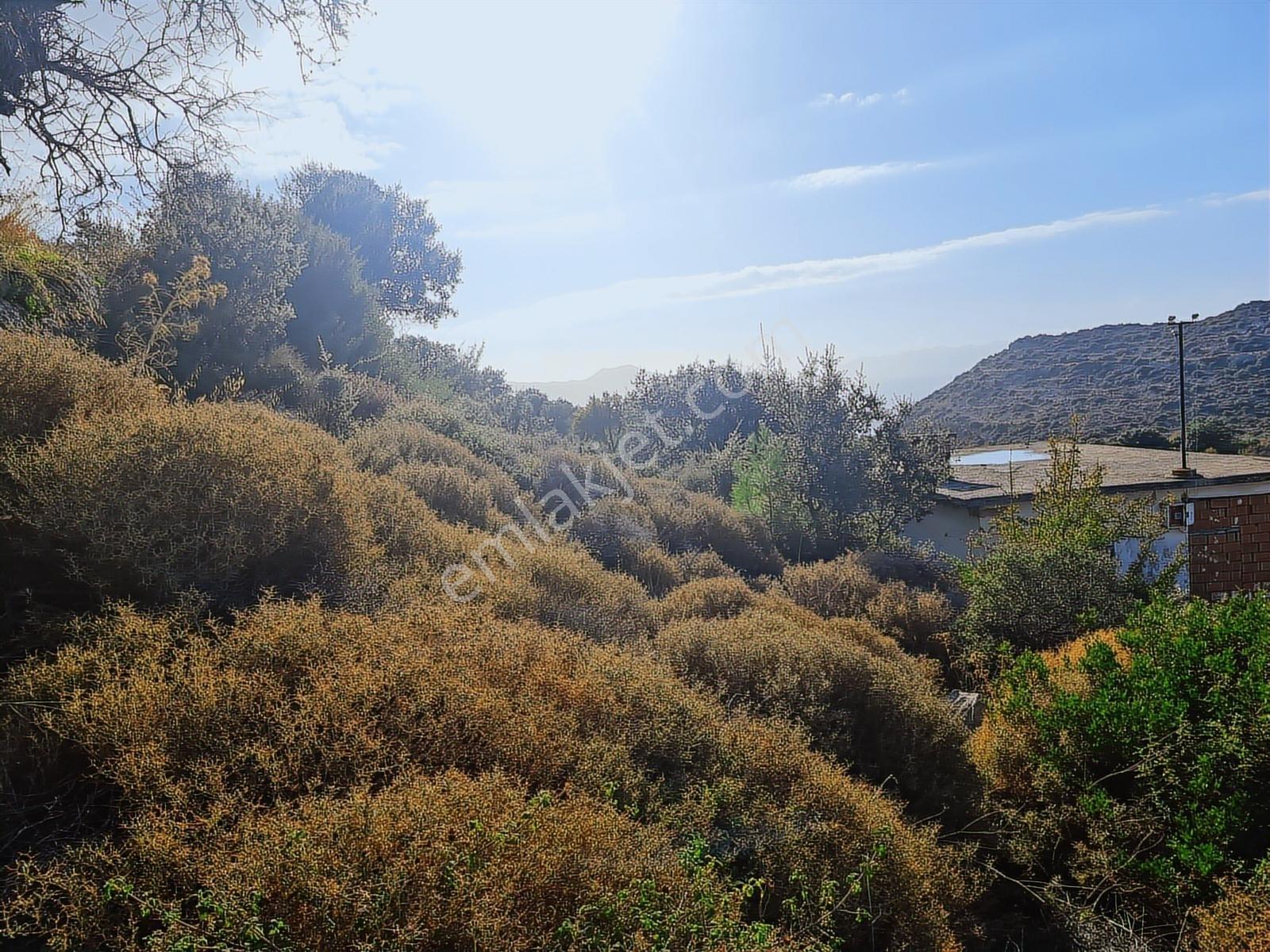 Select'ten Marmaris Söğüt'te İçinde Ev Olan 904 M² Tarla — fotoğraf 28