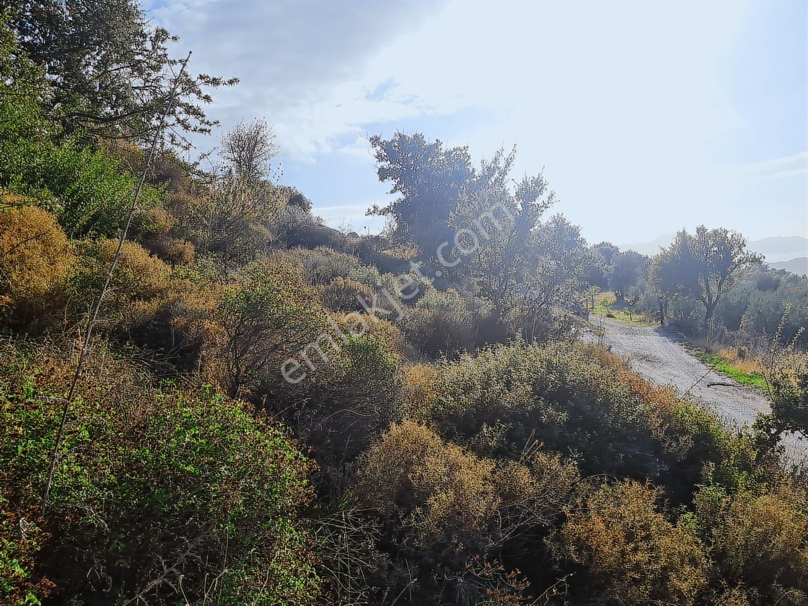 Select'ten Marmaris Söğüt'te İçinde Ev Olan 904 M² Tarla — fotoğraf 30
