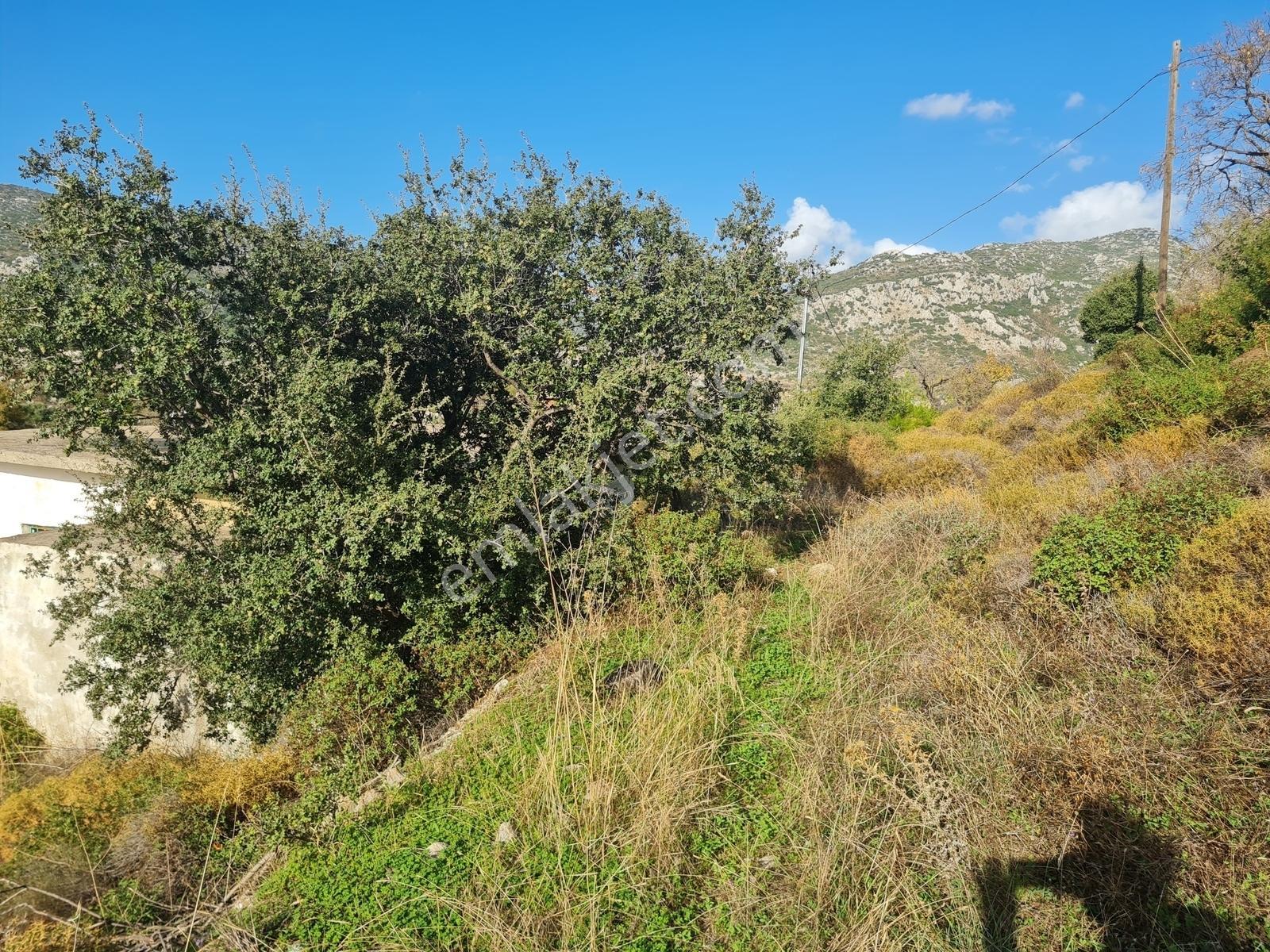 Select'ten Marmaris Söğüt'te İçinde Ev Olan 904 M² Tarla — fotoğraf 32