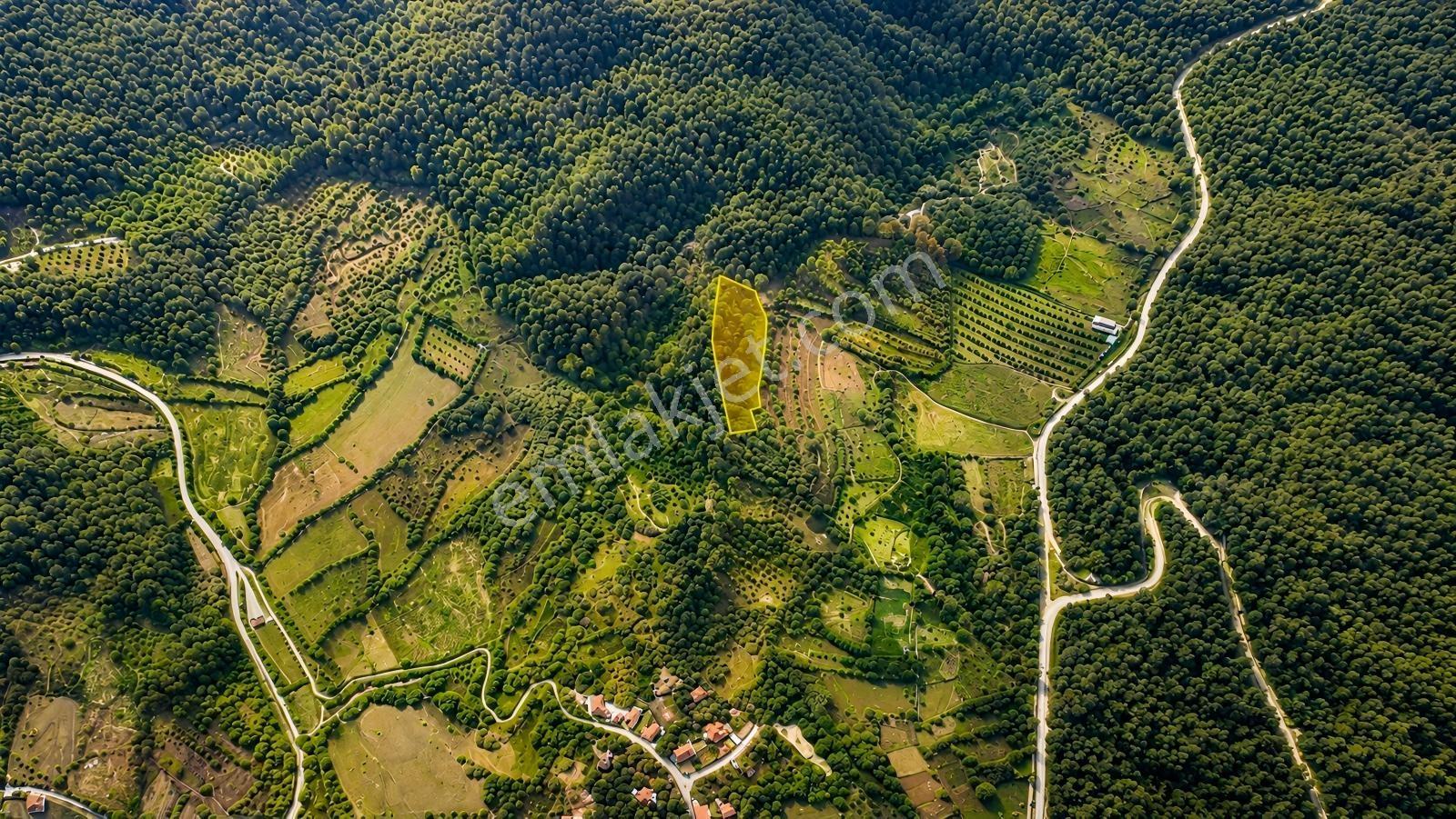 Bilecik Bozüyük Kozpınarda 1.645 M² Satılık Arazi