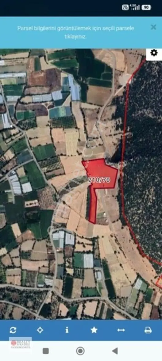 Teşvik Bölgesinde. Hayvancılığa Uygun Arazi