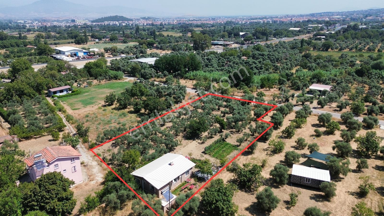 Sb Emlak'tan Tire Turan'da Merkeze 5 Dk Mesafede Bahçe Ve Ev — fotoğraf 2