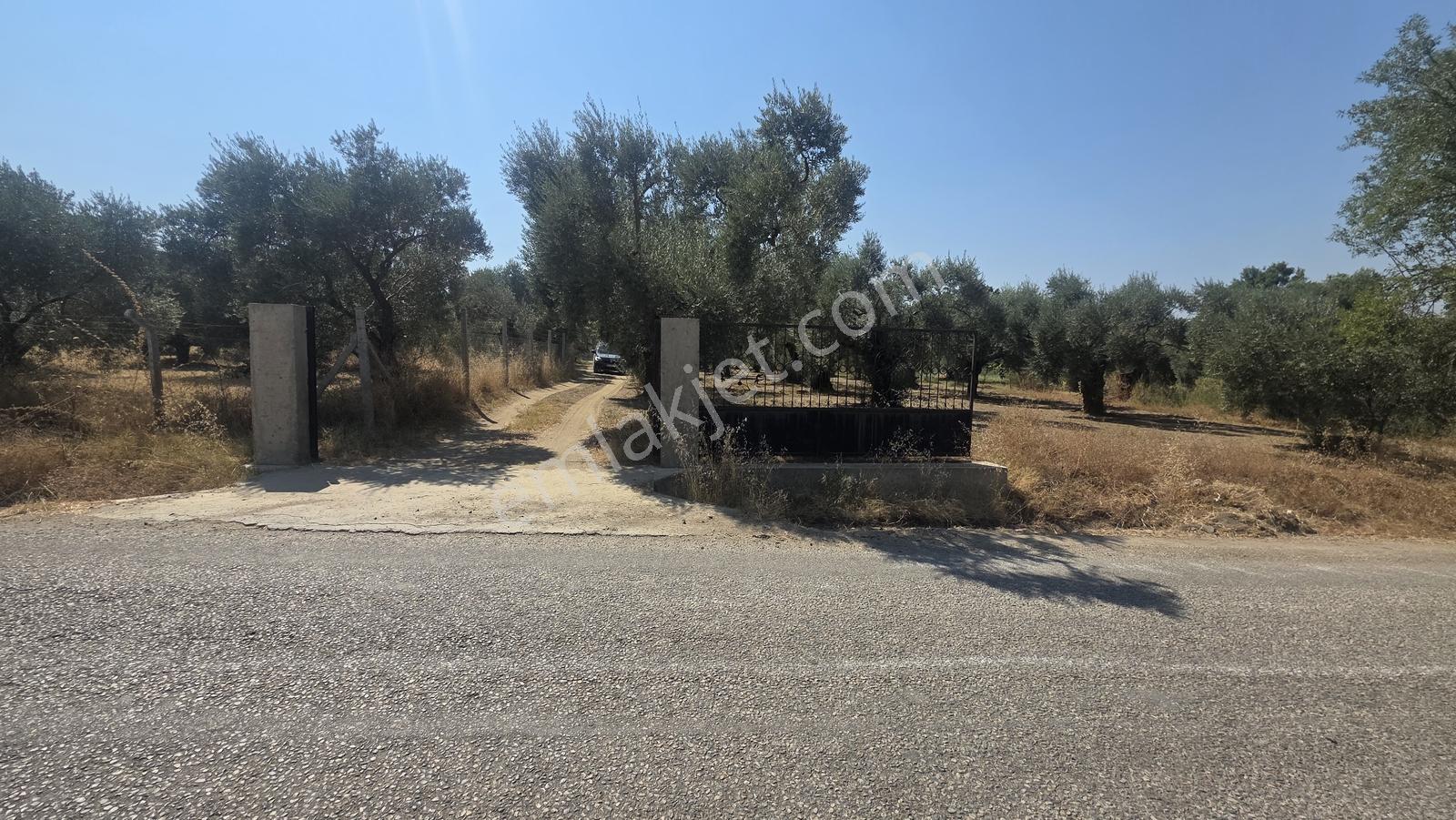 Sb Emlak'tan Tire Turan'da Merkeze 5 Dk Mesafede Bahçe Ve Ev — fotoğraf 3