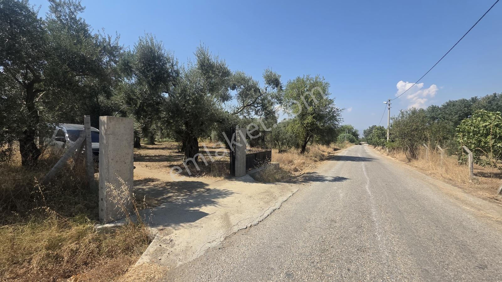 Sb Emlak'tan Tire Turan'da Merkeze 5 Dk Mesafede Bahçe Ve Ev — fotoğraf 4