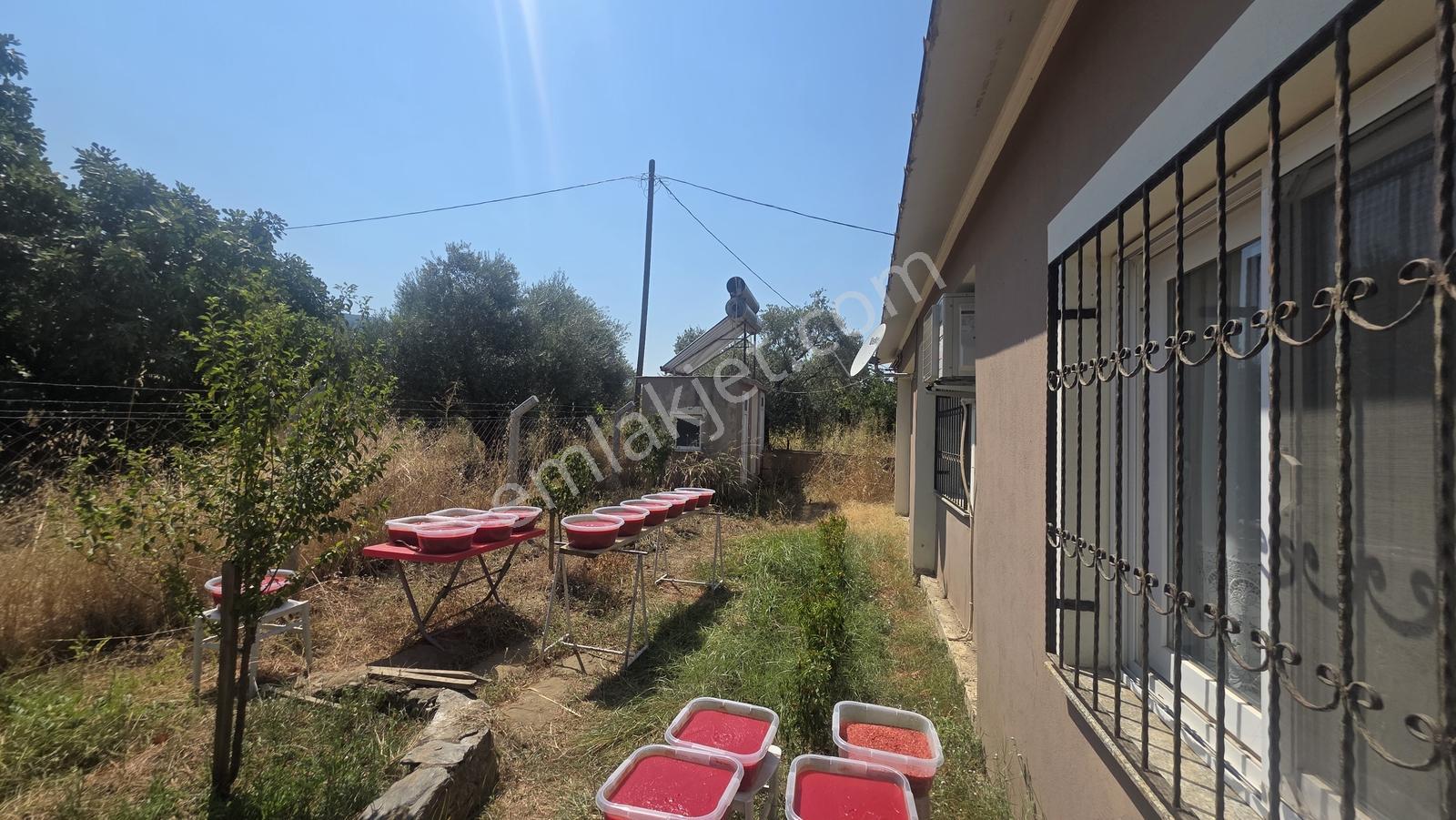 Sb Emlak'tan Tire Turan'da Merkeze 5 Dk Mesafede Bahçe Ve Ev — fotoğraf 14