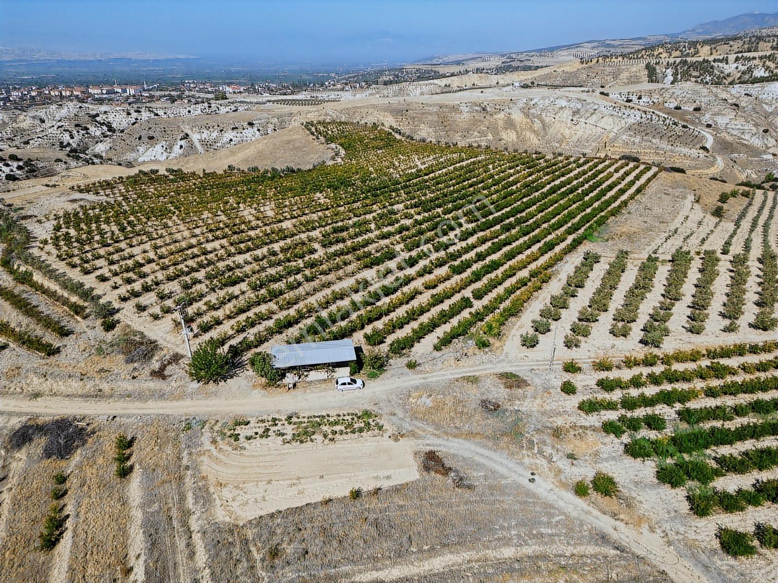 Eldenizlide 66.364m² Suyu Ve Elektriği Olan Satılık Nar Bahçesi — fotoğraf 10