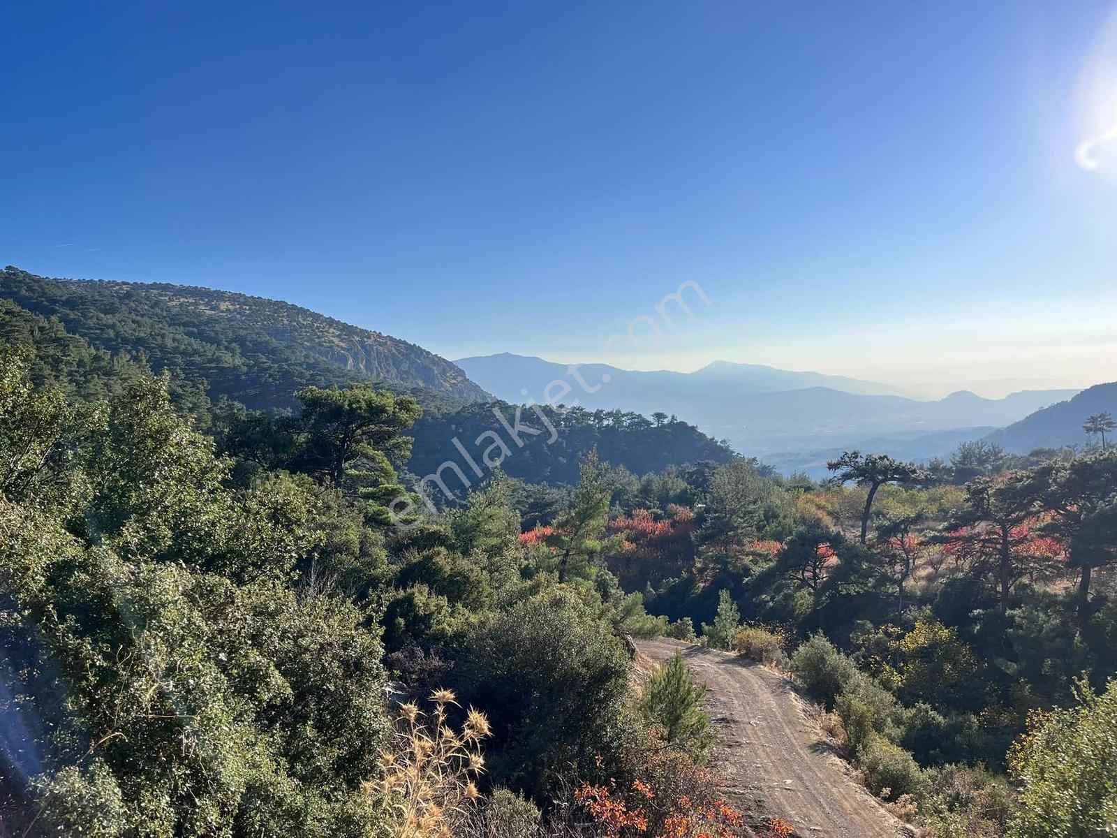Turpa'dan Kemalpaşa'da Satılık Fırsat Kiraz Bahçesi — fotoğraf 3