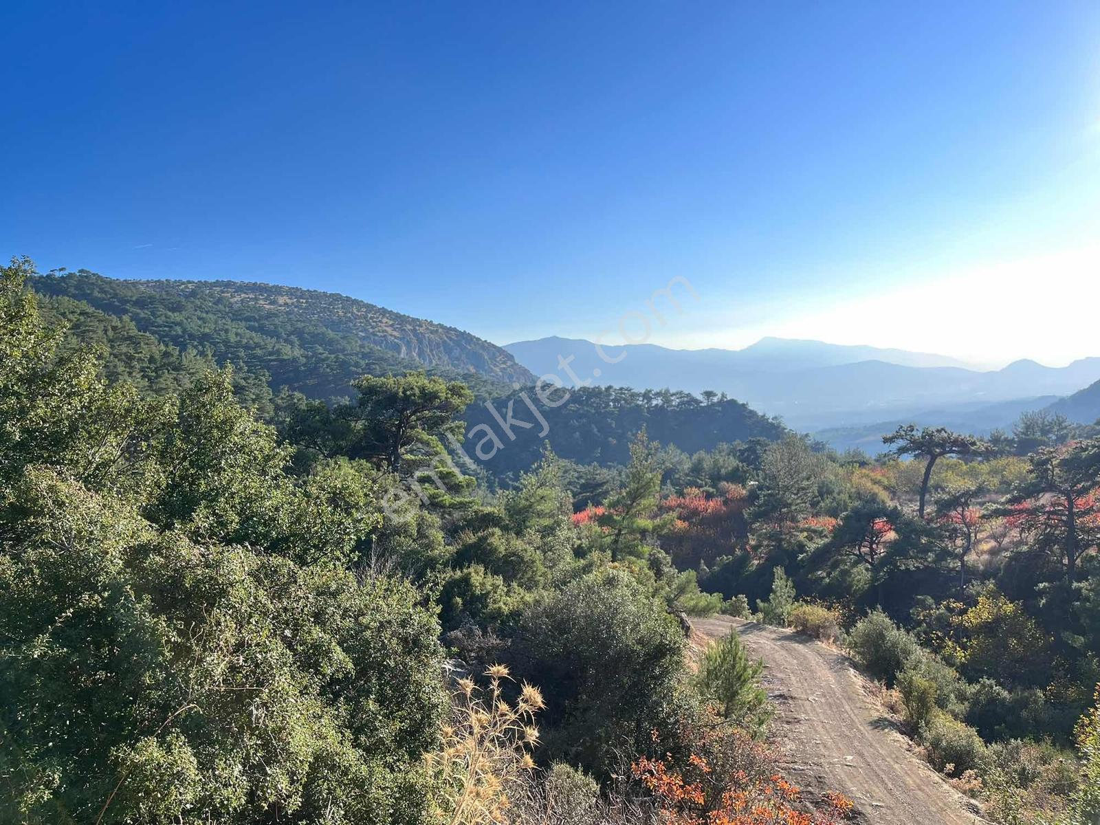 Turpa'dan Kemalpaşa'da Satılık Fırsat Kiraz Bahçesi — fotoğraf 5