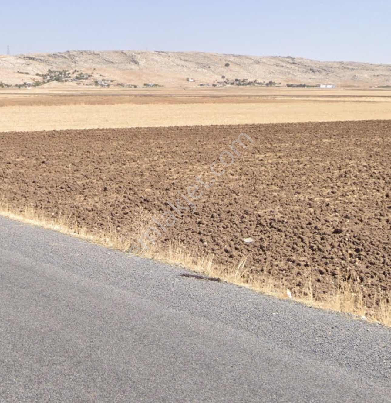 Ergani Karpuzlu Mahallesinde Satılık Müstakil Parsel — fotoğraf 8
