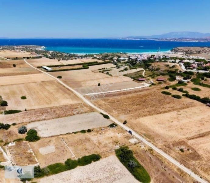 Çiftlikköy Pırlanta Plajı Yakını Satılık İmara Yakın Tarla — fotoğraf 2
