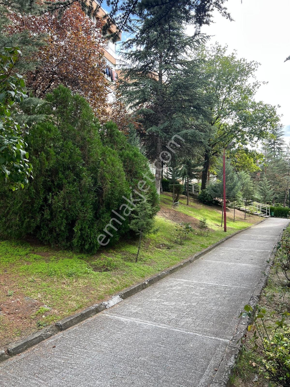 Kartal'dan İnönü Mahallesi Merkezde Ara Kat 3+1 Full Yapılı — fotoğraf 31