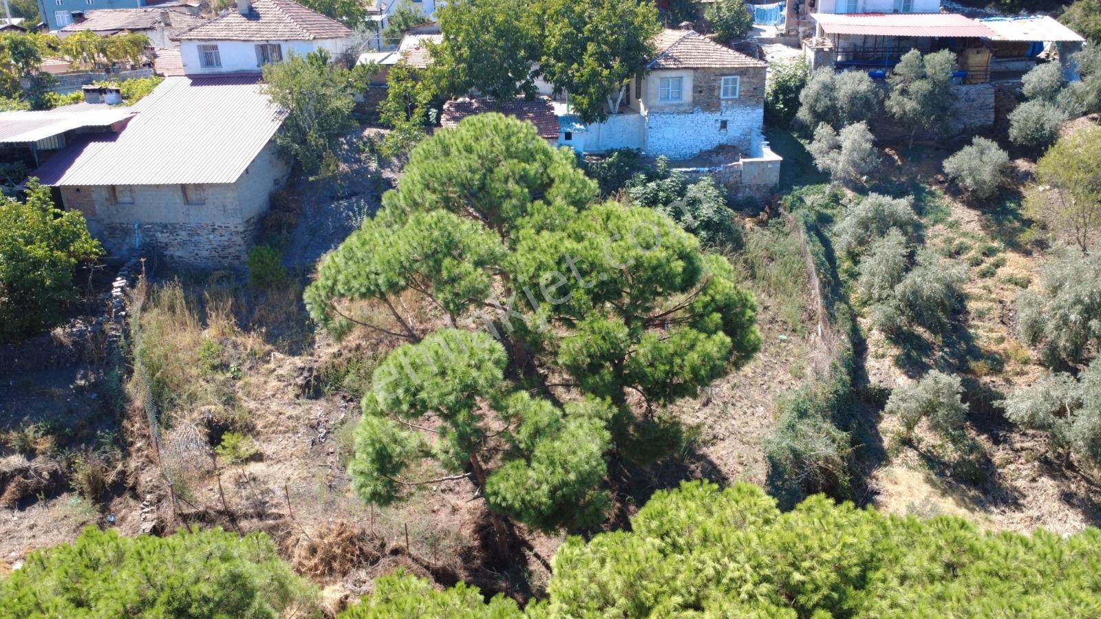 Remax Pin'den Koçarlı Birci'de Satılık Müstakil Ev Ve Arsası — fotoğraf 3