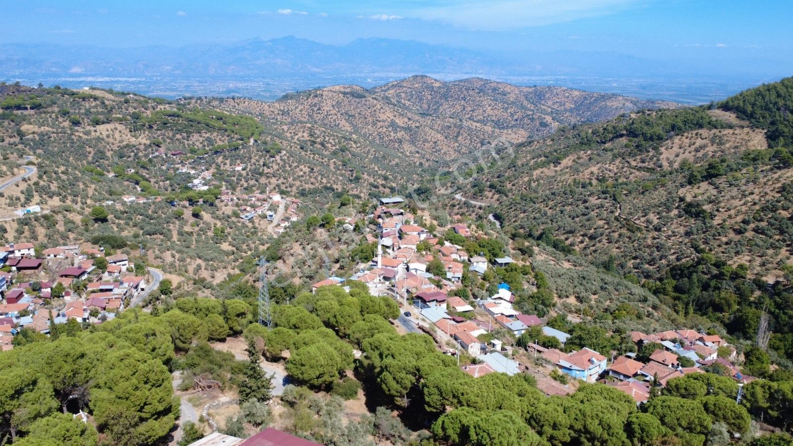 Remax Pin'den Koçarlı Birci'de Satılık Müstakil Ev Ve Arsası — fotoğraf 17