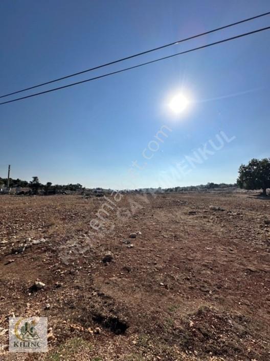 Kılınç Tan Satılık Kocahamzalıda Fırsat Arsa — fotoğraf 2