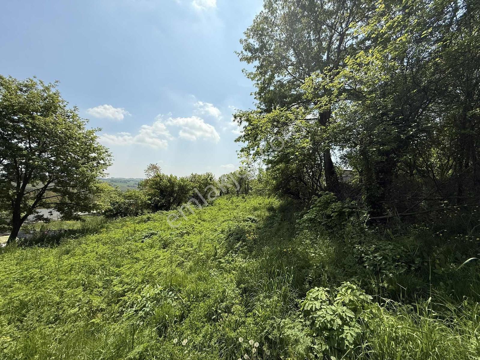 650 M2 Arsa Projeli Ruhsatlı Hemen Evini Yap — fotoğraf 5
