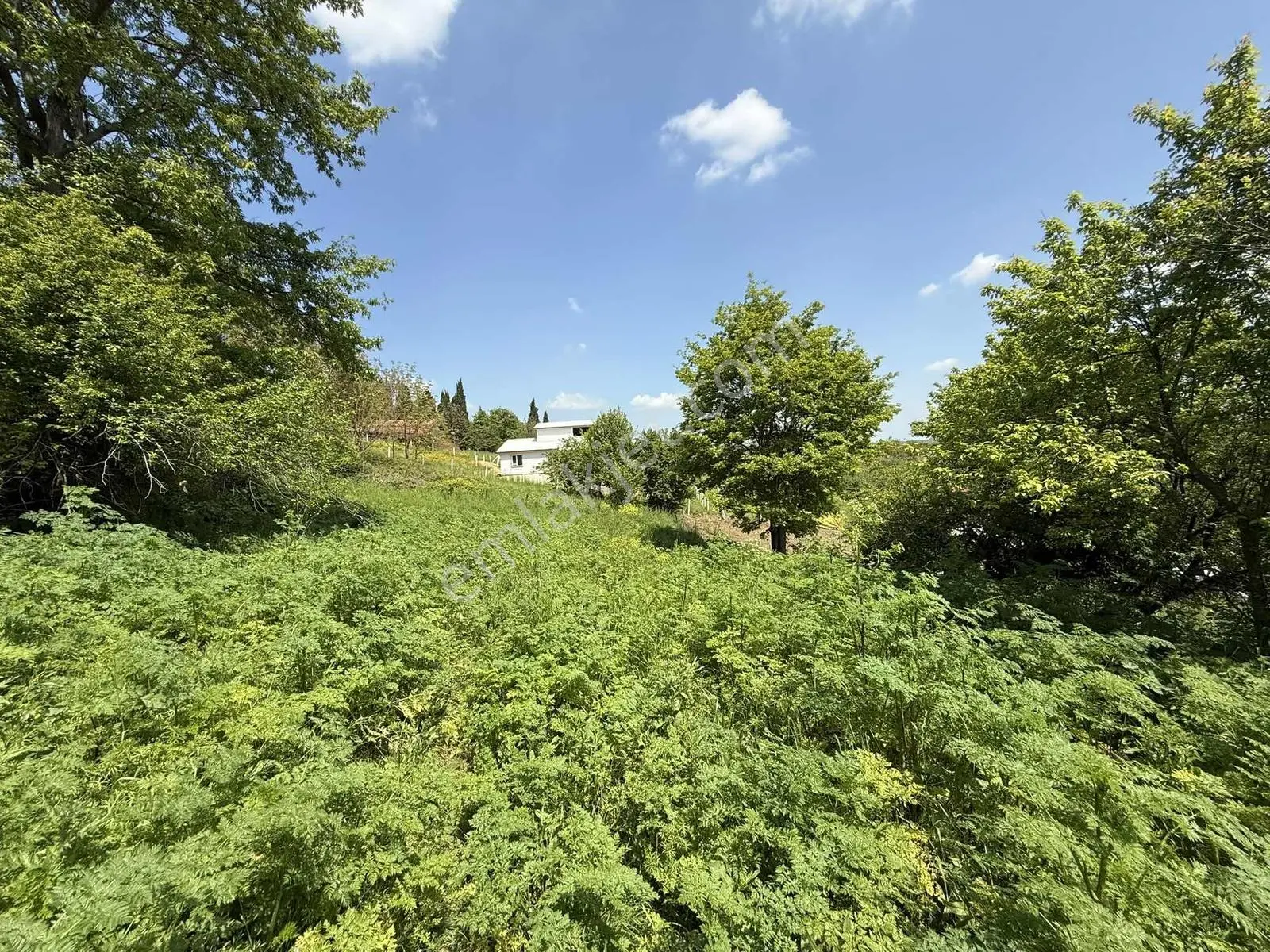 650 M2 Arsa Projeli Ruhsatlı Hemen Evini Yap — fotoğraf 9