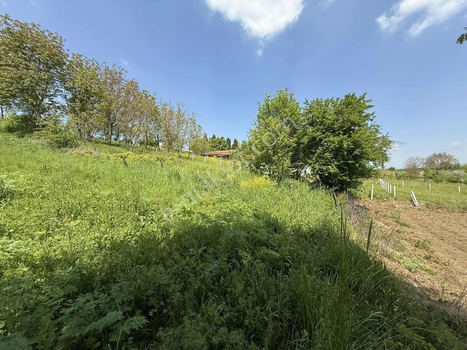 650 M2 Arsa Projeli Ruhsatlı Hemen Evini Yap — fotoğraf 13