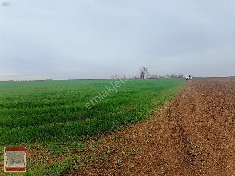 Kavaklı Merkeze Yakın Resmi Yolu Mevcut 7300 M2 Tarla