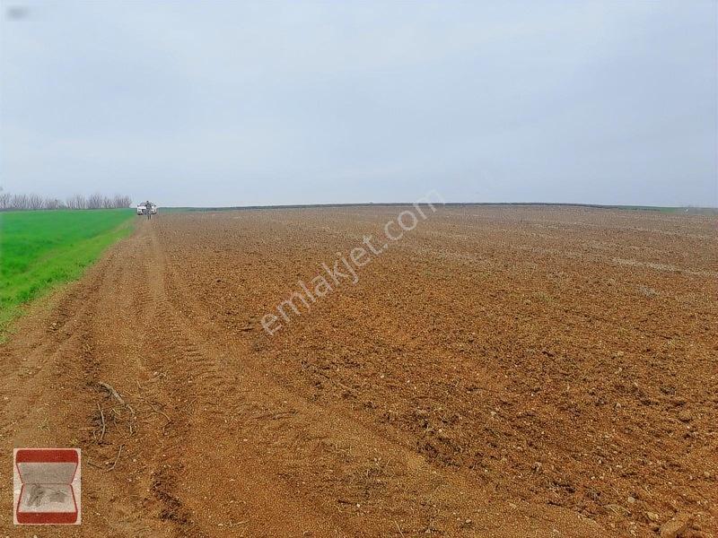Kavaklı Merkeze Yakın Resmi Yolu Mevcut 7300 M2 Tarla — fotoğraf 2