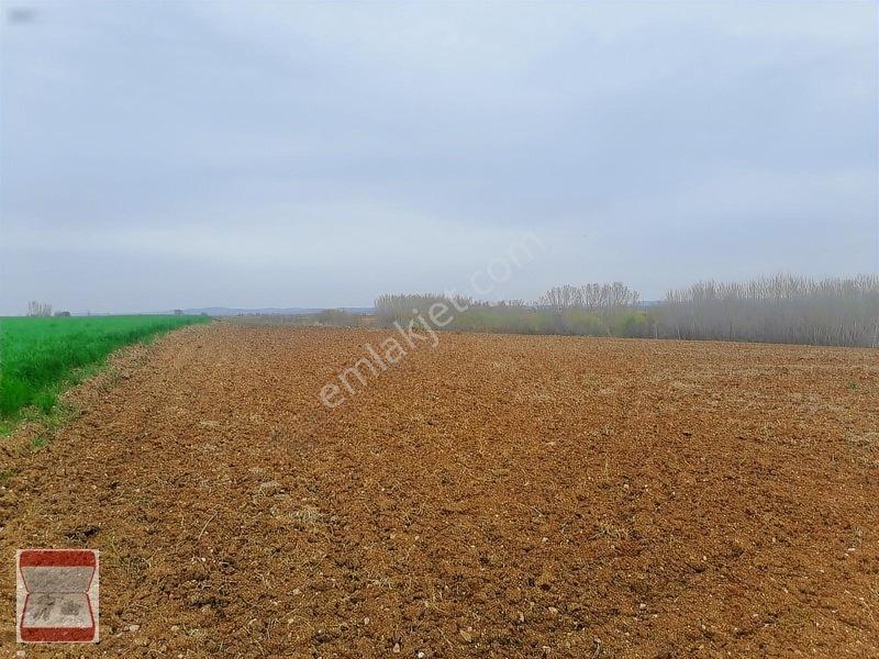 Kavaklı Merkeze Yakın Resmi Yolu Mevcut 7300 M2 Tarla — fotoğraf 4
