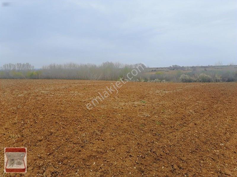Kavaklı Merkeze Yakın Resmi Yolu Mevcut 7300 M2 Tarla — fotoğraf 5