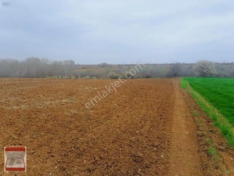 Kavaklı Merkeze Yakın Resmi Yolu Mevcut 7300 M2 Tarla — fotoğraf 6