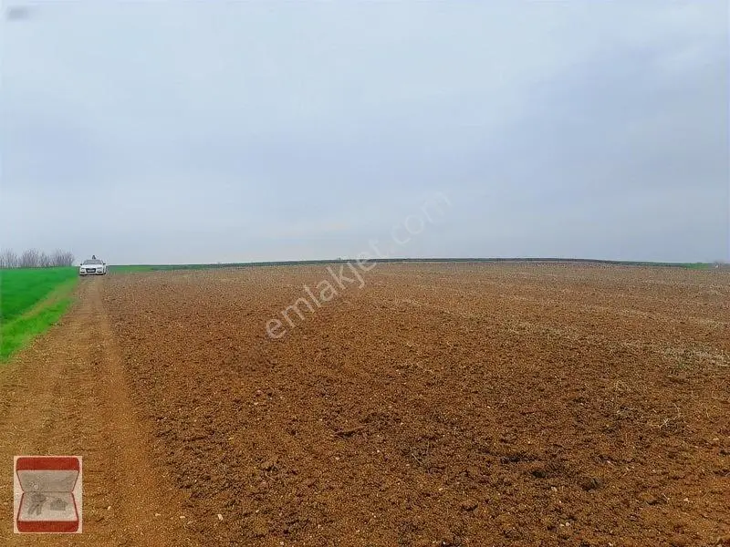 Kavaklı Merkeze Yakın Resmi Yolu Mevcut 7300 M2 Tarla — fotoğraf 7