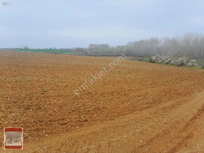 Kavaklı Merkeze Yakın Resmi Yolu Mevcut 7300 M2 Tarla — fotoğraf 8