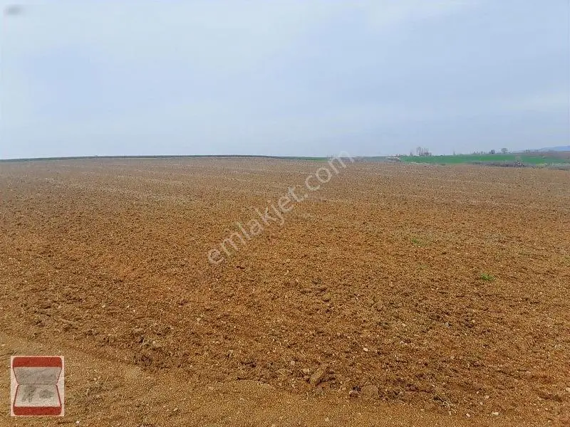 Kavaklı Merkeze Yakın Resmi Yolu Mevcut 7300 M2 Tarla — fotoğraf 9