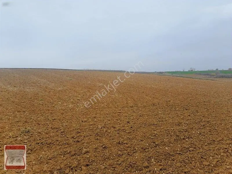 Kavaklı Merkeze Yakın Resmi Yolu Mevcut 7300 M2 Tarla — fotoğraf 11
