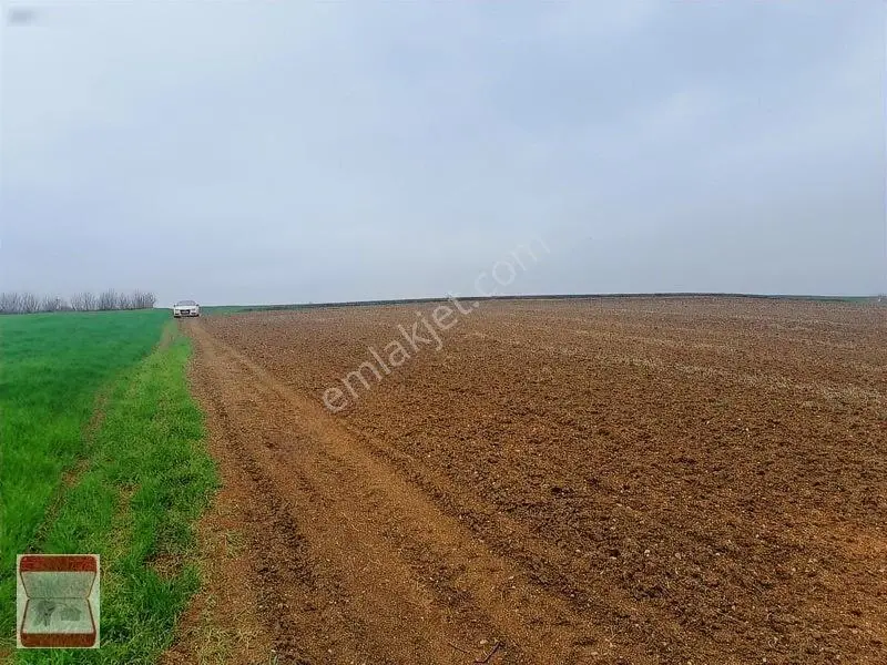 Kavaklı Merkeze Yakın Resmi Yolu Mevcut 7300 M2 Tarla — fotoğraf 12