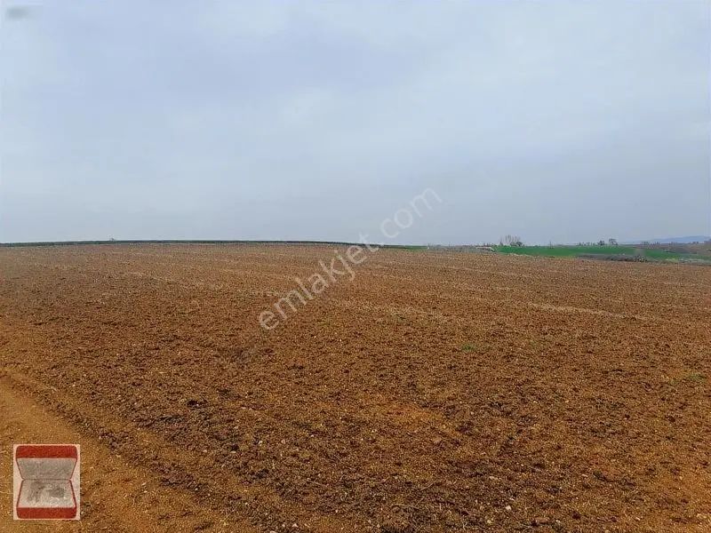 Kavaklı Merkeze Yakın Resmi Yolu Mevcut 7300 M2 Tarla — fotoğraf 13