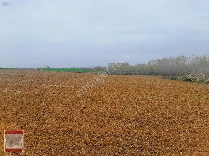 Kavaklı Merkeze Yakın Resmi Yolu Mevcut 7300 M2 Tarla — fotoğraf 14
