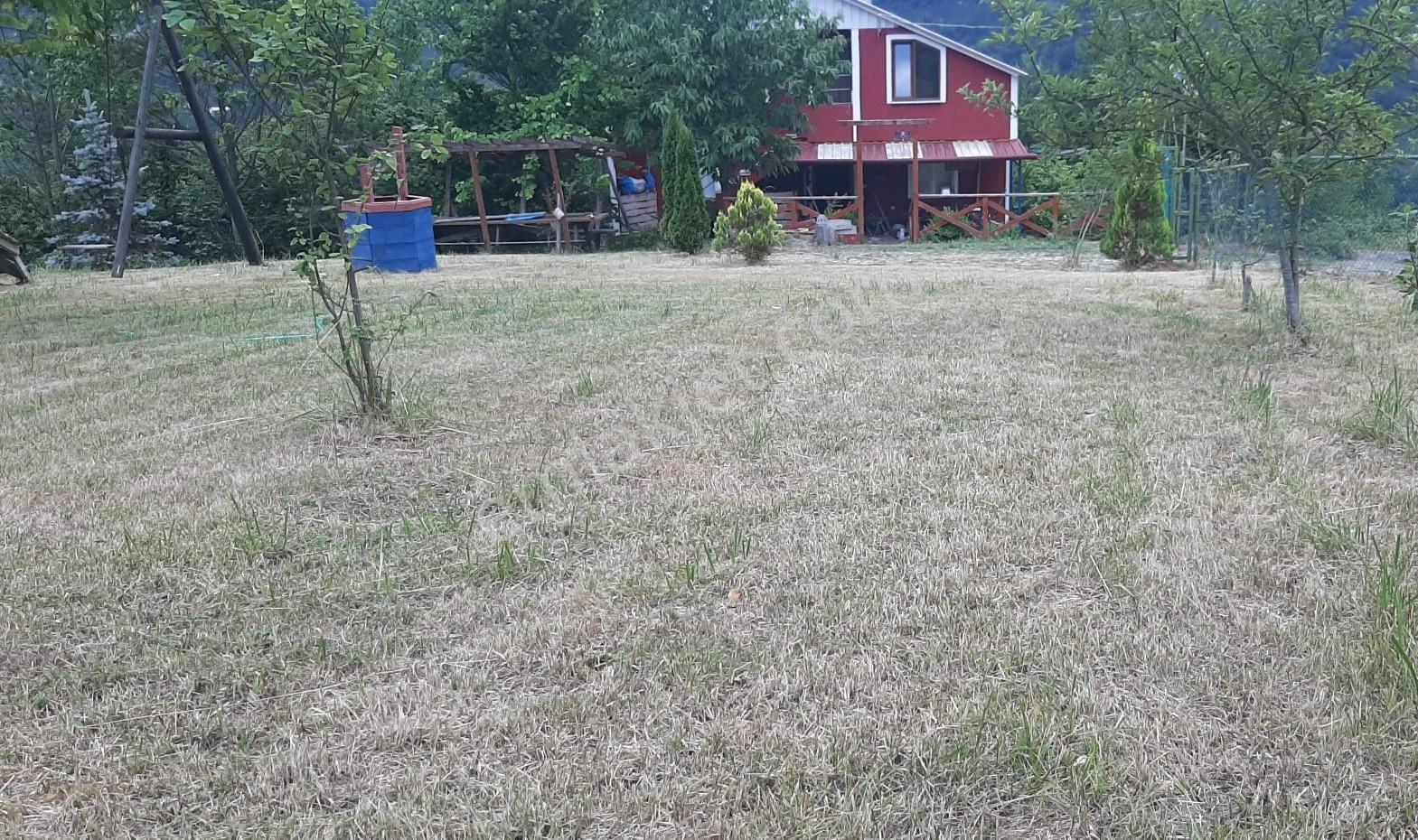 Düzce Kaynaşlı Çamlıca Köyünde Satılık Doğa Harikası Arsa Ve Ev — fotoğraf 12