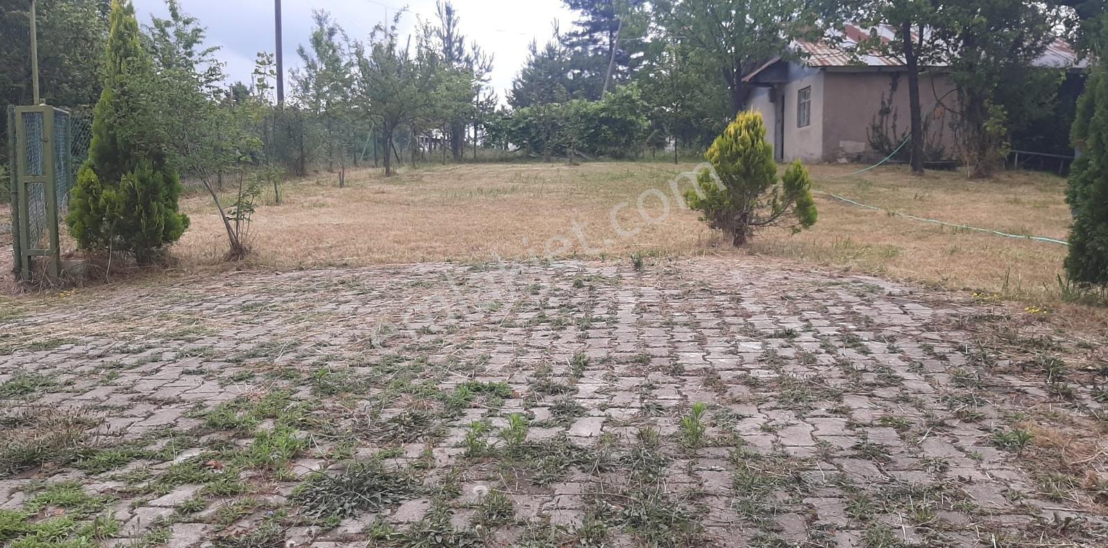 Düzce Kaynaşlı Çamlıca Köyünde Satılık Doğa Harikası Arsa Ve Ev — fotoğraf 13
