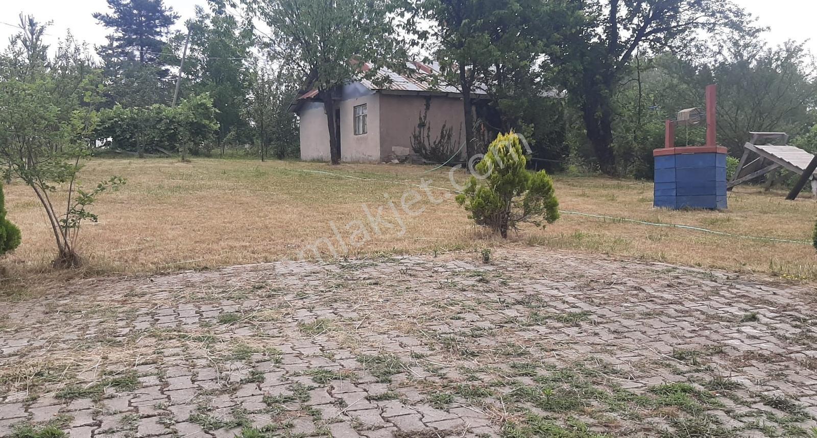 Düzce Kaynaşlı Çamlıca Köyünde Satılık Doğa Harikası Arsa Ve Ev — fotoğraf 15