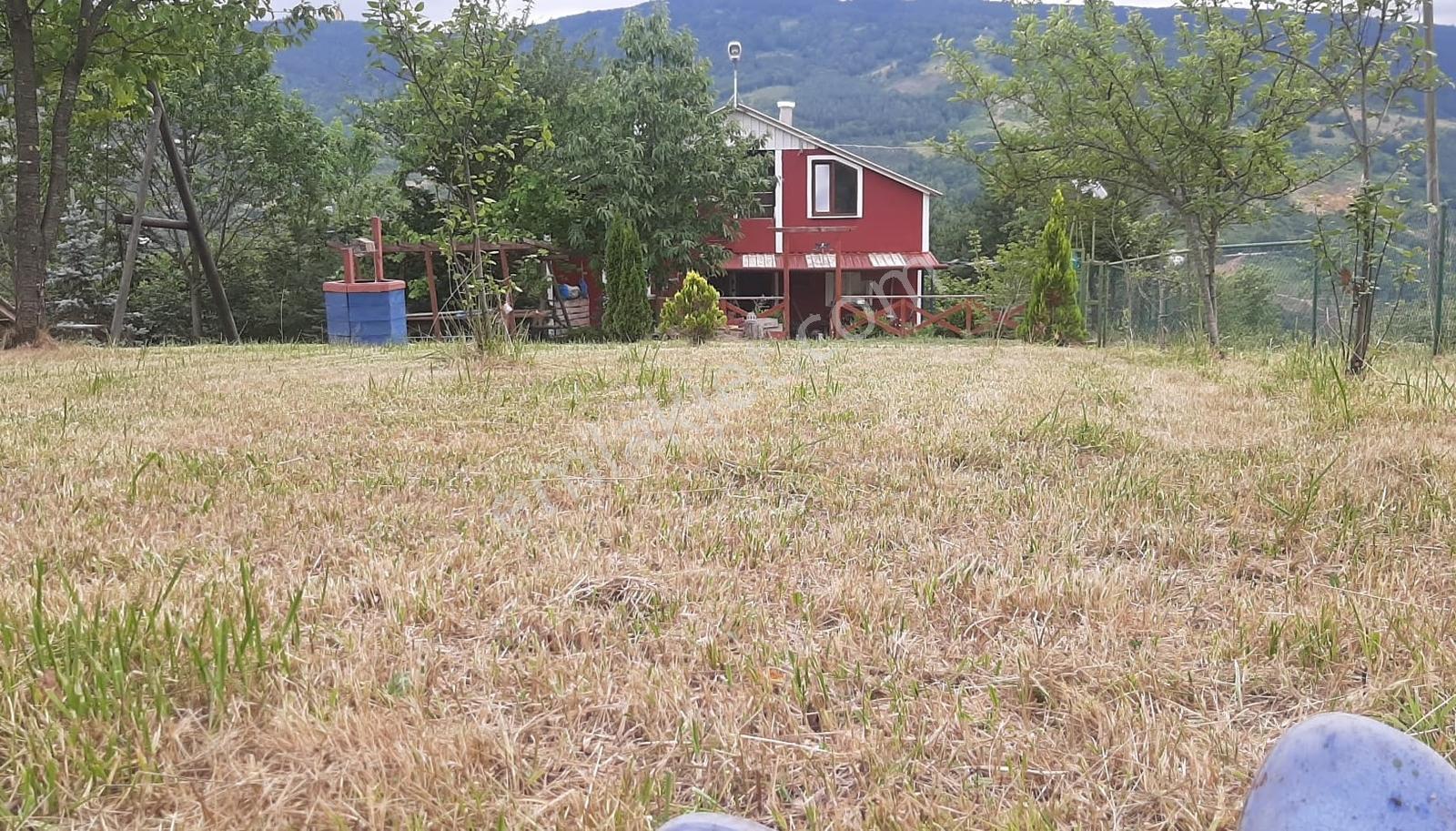 Düzce Kaynaşlı Çamlıca Köyünde Satılık Doğa Harikası Arsa Ve Ev — fotoğraf 16