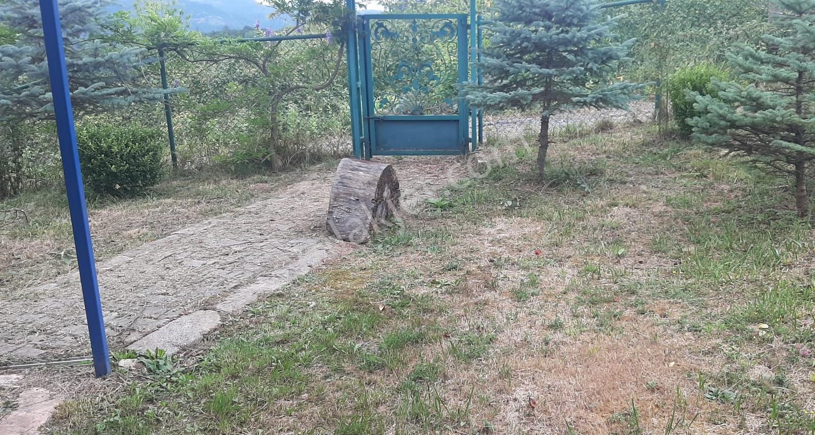 Düzce Kaynaşlı Çamlıca Köyünde Satılık Doğa Harikası Arsa Ve Ev — fotoğraf 17