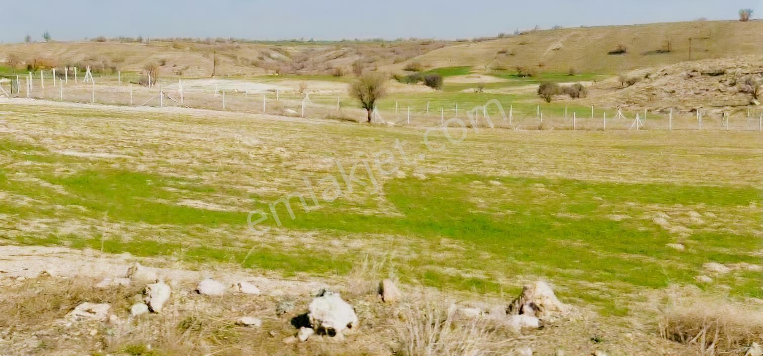 Konya Meram Kayadibinde Ana Yola Yakın 2.194 M² Satılık Tarla — fotoğraf 12
