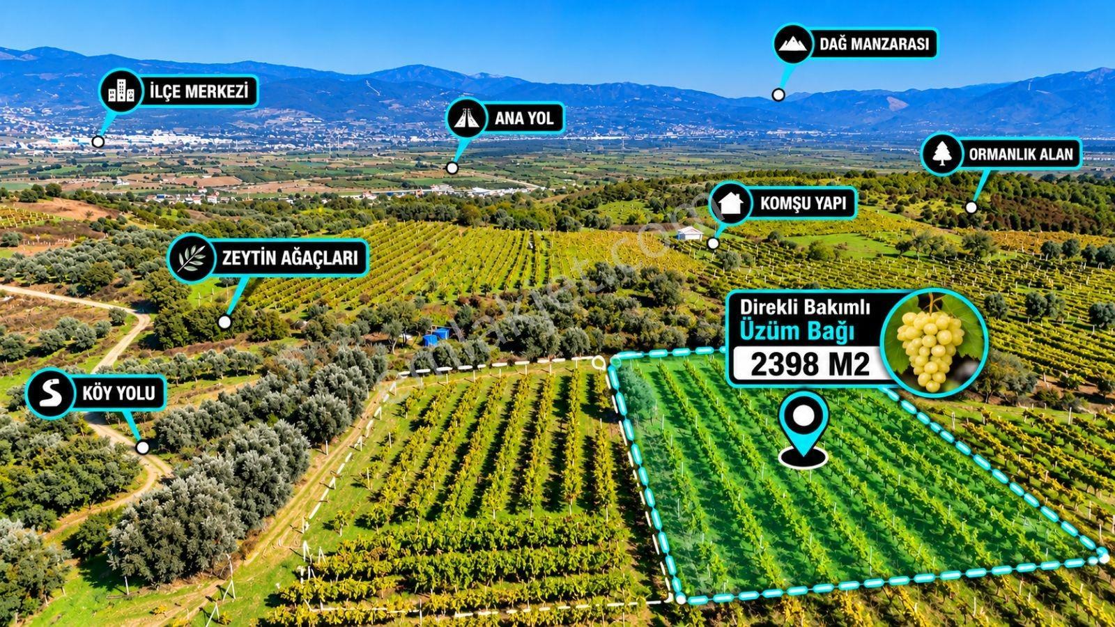 Sakarya Umurbey 2398m2 Resmi Yol Bakımlı Direkli Üzüm Bağı Uygun — fotoğraf 19