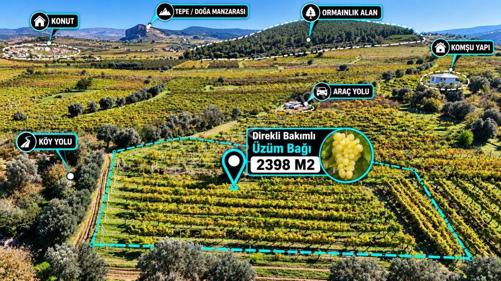 Sakarya Umurbey 2398m2 Resmi Yol Bakımlı Direkli Üzüm Bağı Uygun — fotoğraf 21