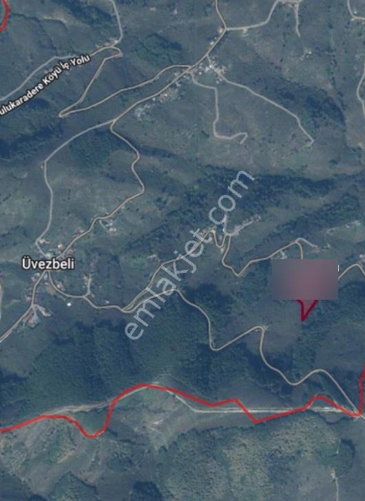 Satılık Yol Kenarı 23.821 M2 Fındık Bahçesi — fotoğraf 2