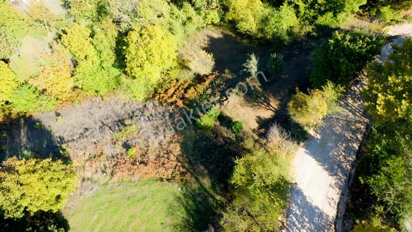 Gökçeörende Bursa Manzaralı Yola Cephe Suyu Olan Satılık Arazi — fotoğraf 26