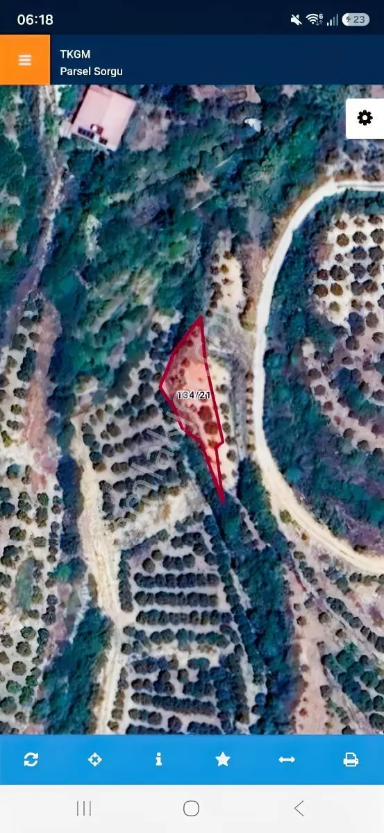 Hatay Samandağ Yoğunoluk 270m Zeytinlik 50 Ağaç Vardır