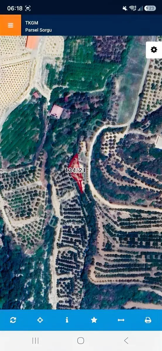 Hatay Samandağ Yoğunoluk 270m Zeytinlik 50 Ağaç Vardır — fotoğraf 2