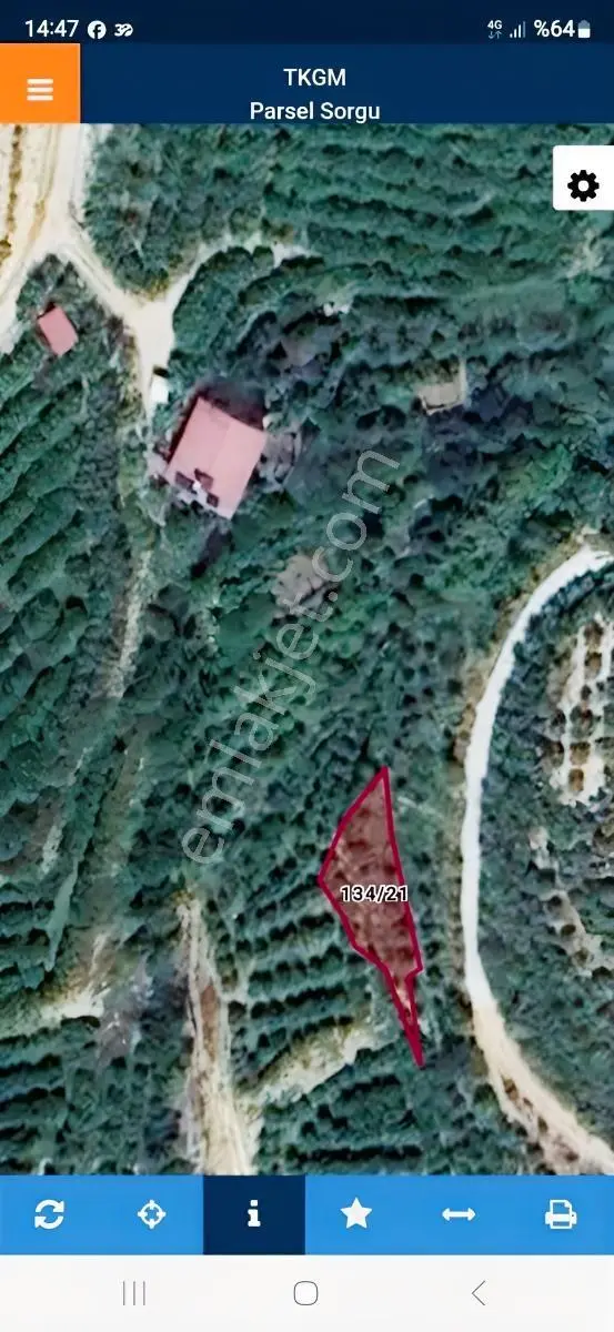 Hatay Samandağ Yoğunoluk 270m Zeytinlik 50 Ağaç Vardır — fotoğraf 3