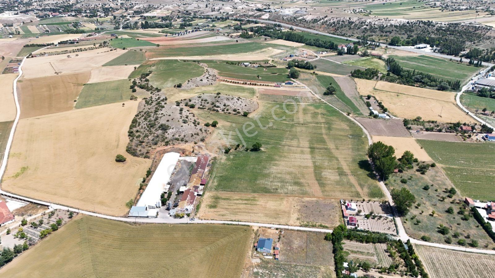 Kutahya Yolu Uzerınde Konum Guzel Arazı 3327m² Bahce Yapılabılır — fotoğraf 5