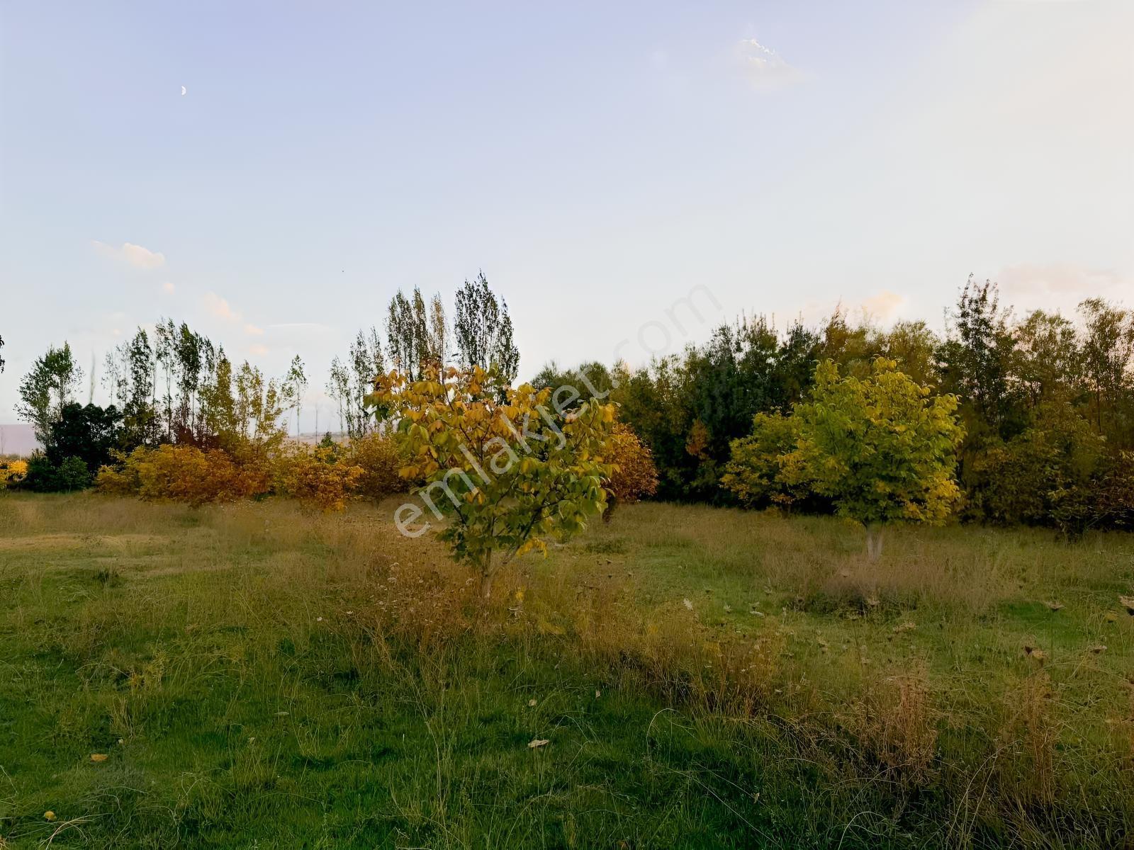 Van Edremit Elmalıkta Satılık 5.153 M² Yatırımlık Parsel — fotoğraf 5