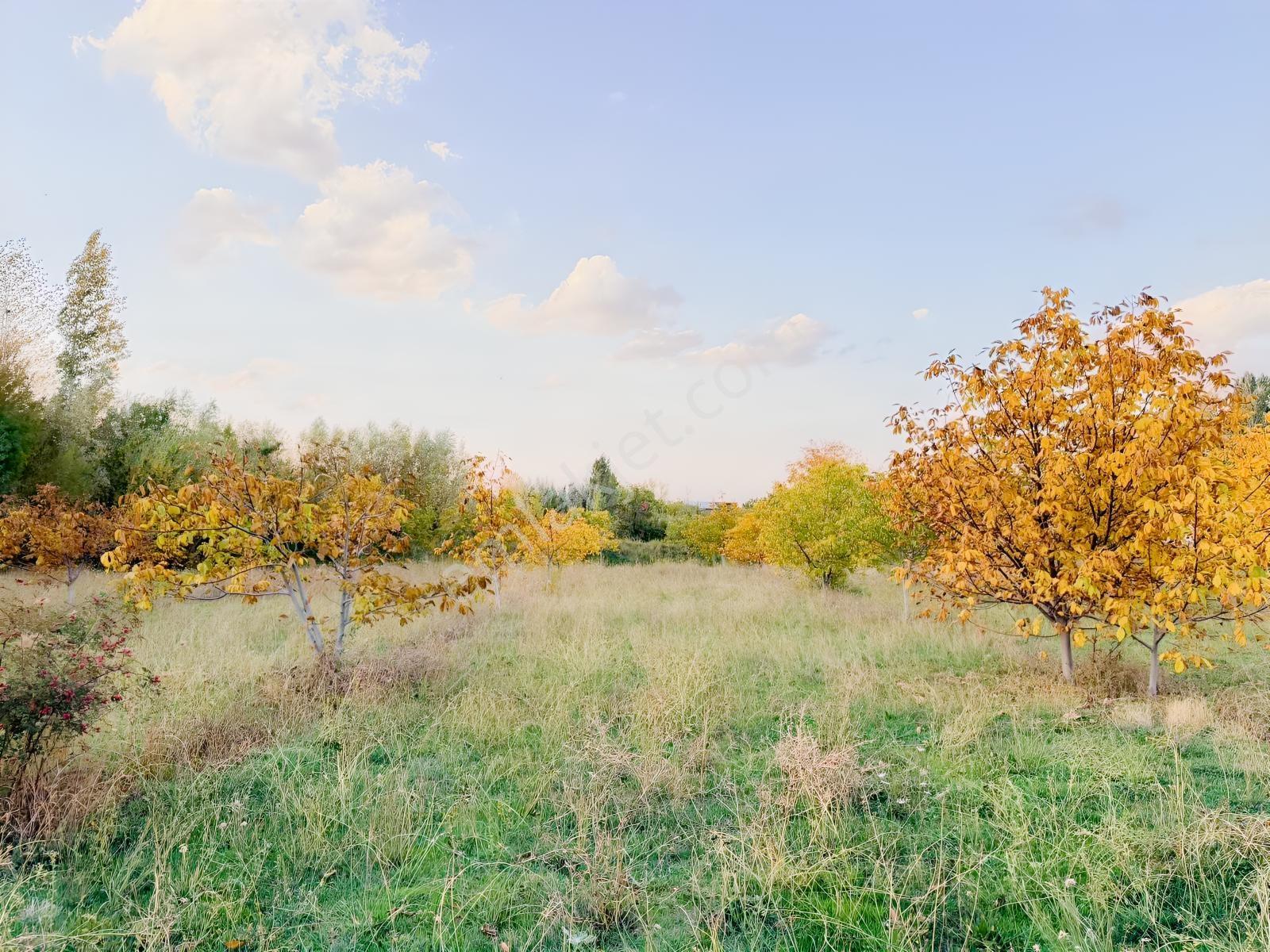 Van Edremit Elmalıkta Satılık 5.153 M² Yatırımlık Parsel — fotoğraf 6